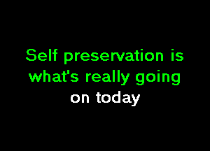 Self preservation is

what's really going
on today