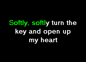 Softly. softly turn the

key and open up
my heart