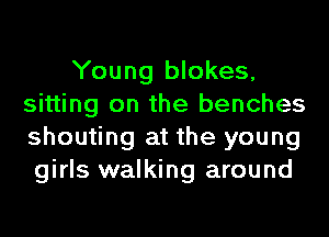 Young blokes,
sitting on the benches
shouting at the young
girls walking around