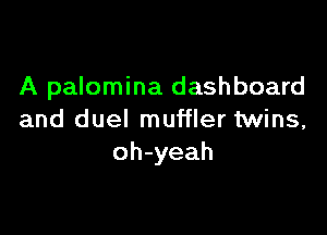 A palomina dashboard

and duel muffler twins,
oh-yeah