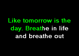 Like tomorrow is the

day. Breathe in life
and breathe out