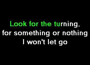 Look for the turning,

for something or nothing
I won't let go