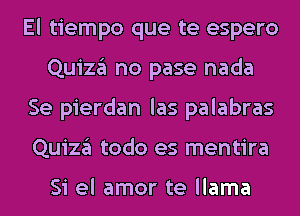 El tiempo que te espero
Quizgl no pase nada
Se pierdan las palabras
Quizgl todo es mentira

Si el amor te llama