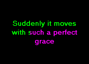 Suddenly it moves

with such a perfect
grace