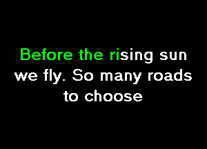 Before the rising sun

we fly. So many roads
to choose