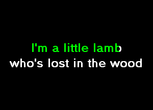 I'm a little lamb

who's lost in the wood