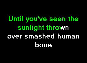 Until you've seen the
sunlight thrown

over smashed human
bone