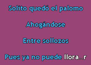 Solito quedd el palomo

Ahogandose

Entre sollozos

Pues ya no puede llora..r