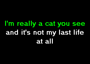 I'm really a cat you see

and it's not my last life
at all