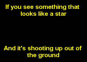 If you see something that
looks like a star

And it's shooting up out of
the ground