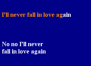 I'll never fall in love again

No no I'll never
fall in love again