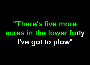 There's five more

acres in the lower forty
I've got to plow