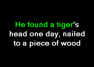 He found a tiger's

head one day, nailed
to a piece of wood