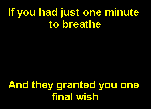 If you had just one minute
to breathe

And they granted you one
final wish