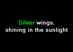 Silver wings,

shining in the sunlight