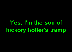 Yes, I'm the son of

hickory holler's tramp