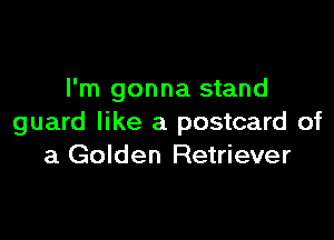 I'm gonna stand

guard like a postcard of
a Golden Retriever