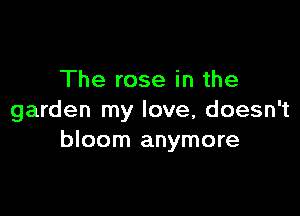 The rose in the

garden my love, doesn't
bloom anymore