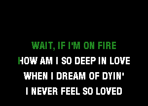 WAIT, IF I'M ON FIRE
HOW AM I SO DEEP III LOVE
WHEN I DREAM 0F DYIII'

I NEVER FEEL SO LOVED