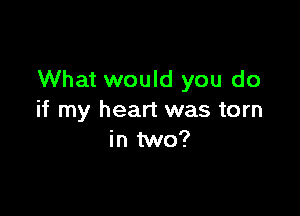 What would you do

if my heart was torn
in two?
