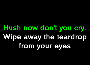 Hush now don't you cry.

Wipe away the teardrop
from your eyes