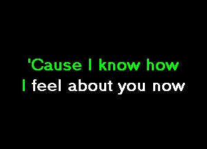 'Cause I know how

I feel about you now