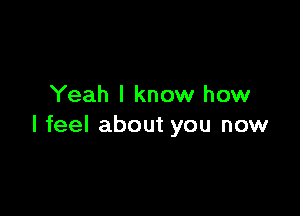 Yeah I know how

I feel about you now