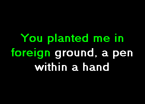 You planted me in

foreign ground, a pen
within a hand