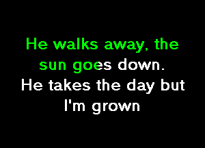 He walks away, the
sun goes down.

He takes the day but
I'm grown