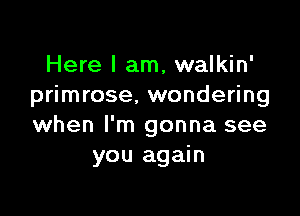 Here I am, walkin'
primrose, wondering

when I'm gonna see
you again