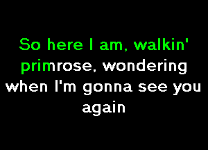 So here I am, walkin'
primrose, wondering

when I'm gonna see you
again