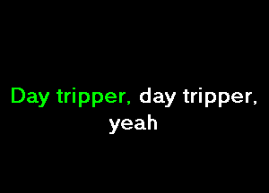 Day tripper, day tripper,
yeah