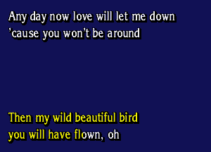 Any day now love will let me down
'cause you won't be around

Then my wild beautiful bird
you will have flown. oh