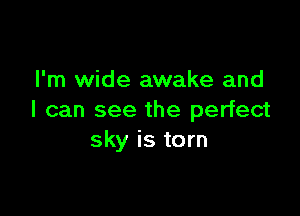 I'm wide awake and

I can see the perfect
sky is torn