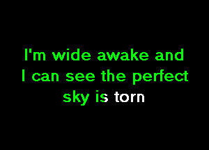 I'm wide awake and

I can see the perfect
sky is torn