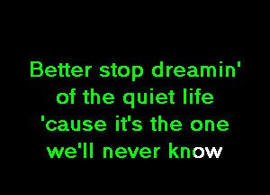 Better stop dreamin'

of the quiet life
'cause it's the one
we'll never know