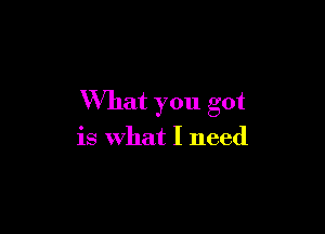 What you got

is What I need