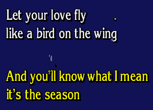 Let your love fly
like a bird on the wing

And youzll know what I mean
ifs the season