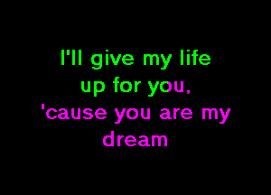 I'll give my life
up for you,

'cause you are my
dream