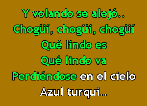 Y volando se alej6..
Chogiji, chogUi, chogiji
Quc lindo es

Qu lindo va
Perdie'ndose en el cielo
Azul turqui..