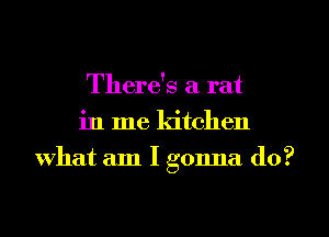There's a rat
in me kitchen
What am I gonna do?