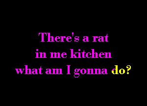 There's a rat
in me kitchen
what am I gonna do?