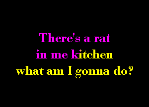 There's a rat
in me kitchen
What am I gonna do?