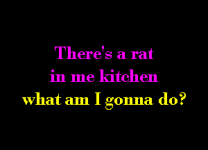 There's a rat
in me kitchen
What am I gonna do?