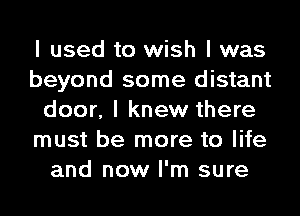 I used to wish I was
beyond some distant
door, I knew there
must be more to life
and now I'm sure