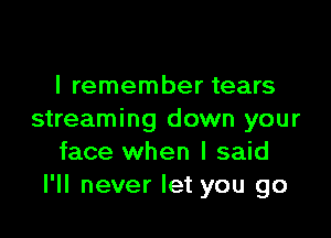 I remember tears

streaming down your
face when I said
I'll never let you go