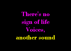 There's no

sign of life

Voices,
another sound