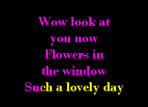 W 0W look at
you now
Flowers in
the window

Such a lovely day