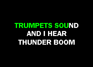 TRUMPETS SOUND

AND I HEAR
THUNDER BOOM