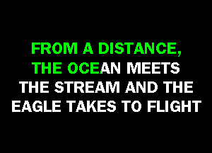 FROM A DISTANCE,
THE OCEAN MEETS
THE STREAM AND THE
EAGLE TAKES T0 FLIGHT